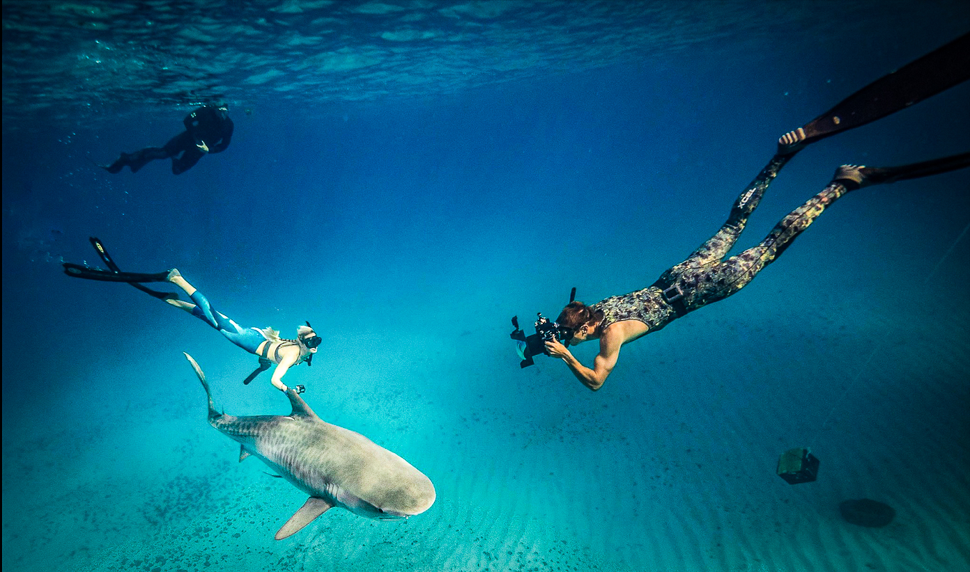Free diving photographer Juan Oliphant is taking photos of his wife Ocean Ramsey swimming alongside a large tiger shark in crystal clear water.