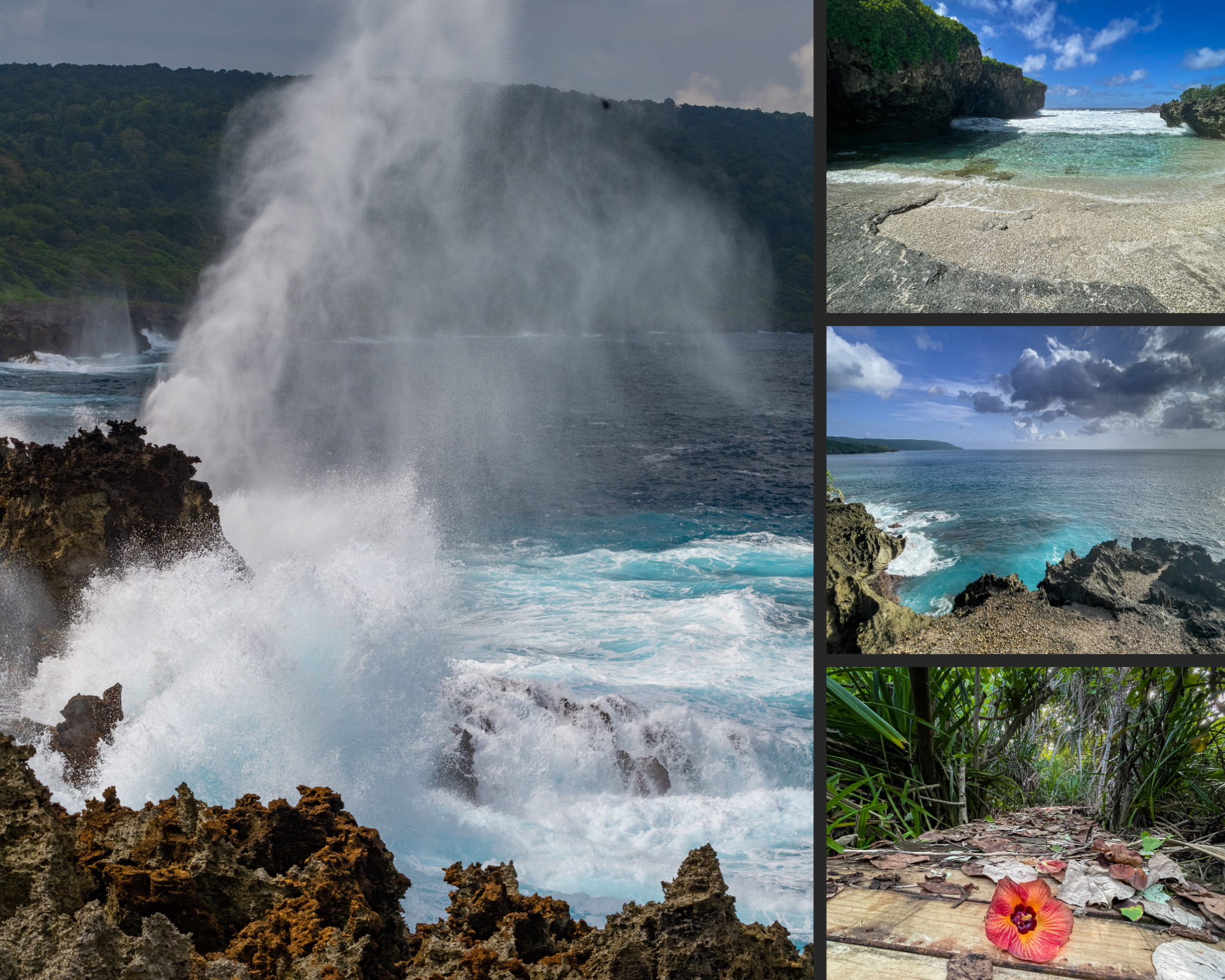 A photocollage of The Blowholes blowing, Lily beach, Martin Point and a pandanus grotto along a boardwalk